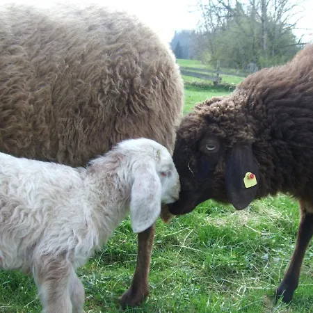 Agelbauer Irschenberg