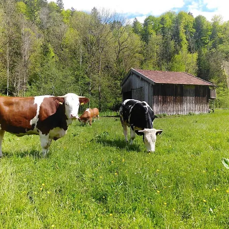 Agelbauer Apartment *