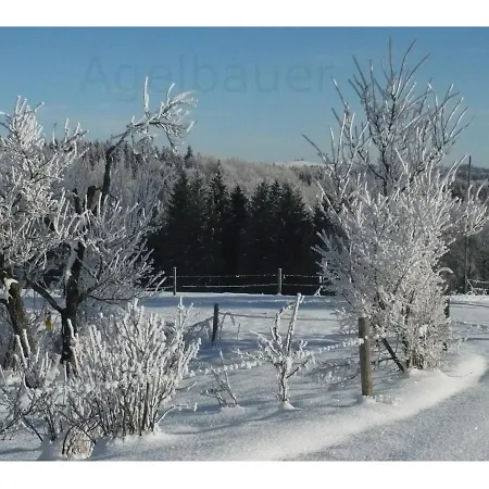 Agelbauer Apartment *